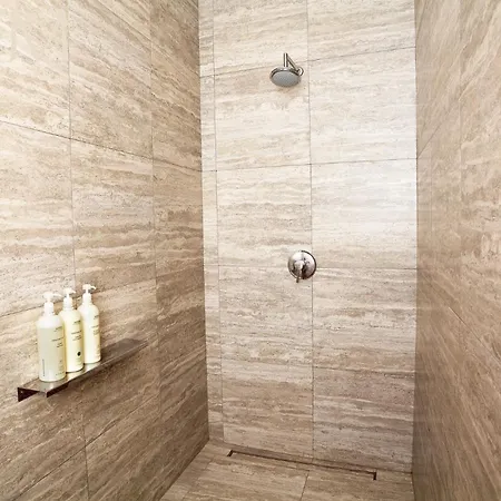 Palatial Flat Inside Bright Duplex Penthouse Apartament