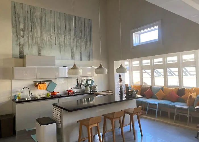 Apartment Palatial Flat Inside Bright Duplex Penthouse